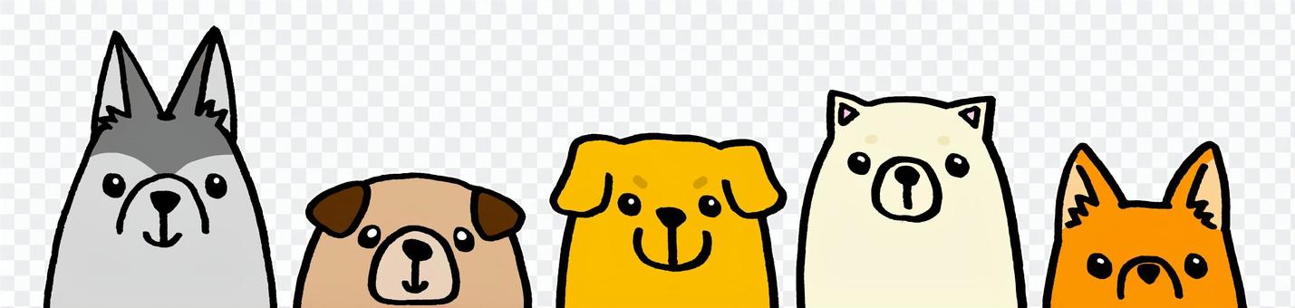 Various dogs Various dogs