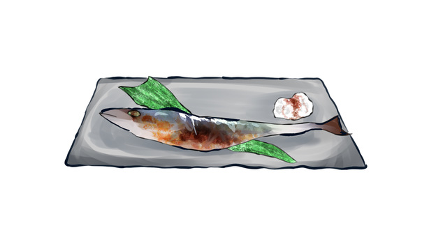pacific saury pacific saury