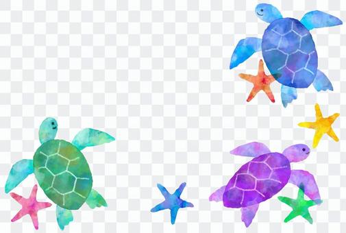 Sea turtle frame Sea turtle frame