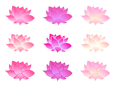 A lotus flower set with a soft and gentle color A lotus flower set with a soft and gentle color