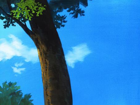 Street road tree Street road tree