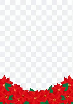Poinsettia 4 Poinsettia 4