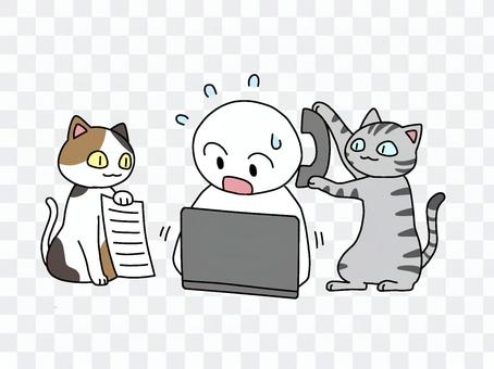 I also want to get the help of a cat I also want to get the help of a cat