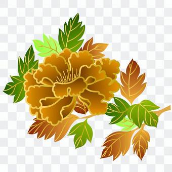Wind peony drench 1 Wind peony drench 1