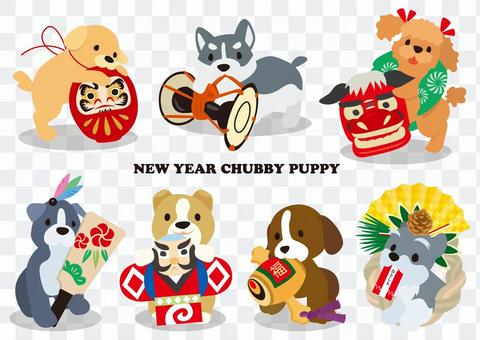 NEWYEAR CHUBBY PUPPY NEWYEAR CHUBBY PUPPY