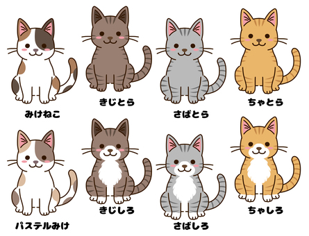 Cats of various coat colors Cats of various coat colors