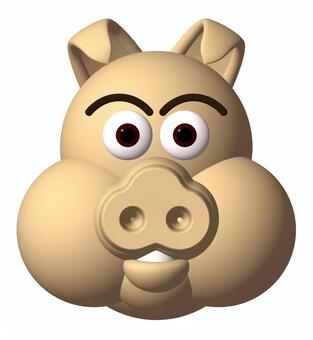 Swine pig _ raw Swine pig _ raw