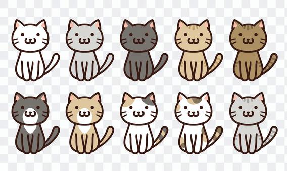 Cute cat free material Cute cat free material