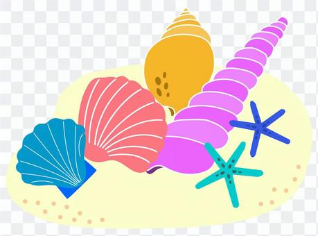 Seashell on the sand Seashell on the sand
