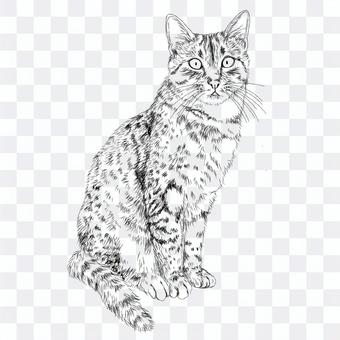 エジプシャマウ猫の絵/白黒手描きイラスト エジプシャマウ猫の絵/白黒手描きイラスト