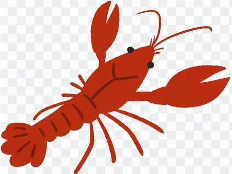 crayfish crayfish