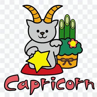 Capricorn color Capricorn color