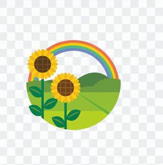 Sunflowers and rainbows Sunflowers and rainbows