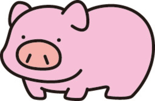Swine illustration Swine illustration