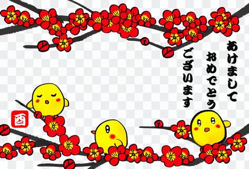 For plum and chick day news cards For plum and chick day news cards
