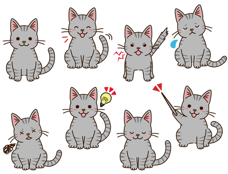 Sabatra cat pose collection Sabatra cat pose collection