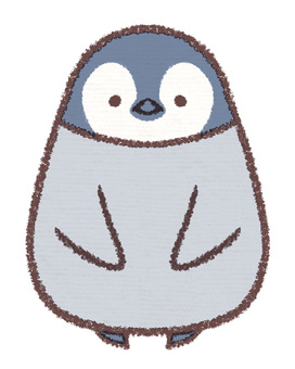 Penguin penguin chick Penguin penguin chick