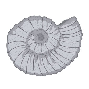 Fossil part1 Fossil part1
