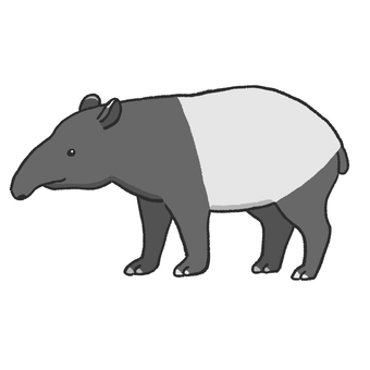 Malayan tapir Malayan tapir