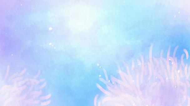 Sea anemone sea Sea anemone sea
