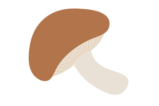 Mushroom shiitake Mushroom shiitake