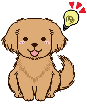 Golden retriever that inspires something Golden retriever that inspires something