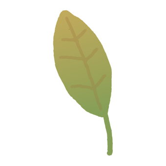 Fallen leaves _ green Fallen leaves _ green