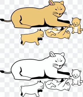 Lion carnivorous lying down resting parent and child female Lion carnivorous lying down resting parent and child female