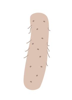 Potatoes Potatoes
