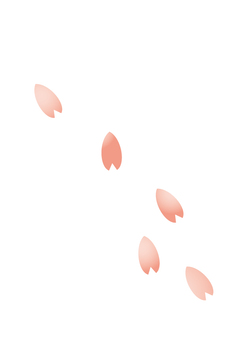 Cherry blossom petals Cherry blossom petals
