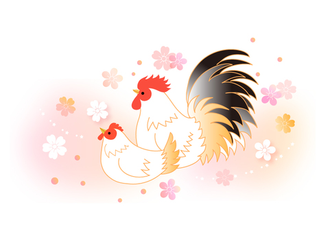 Rooster illustration Rooster illustration