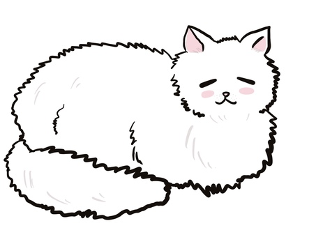 White cat cat sleep nap suyasuya White cat cat sleep nap suyasuya