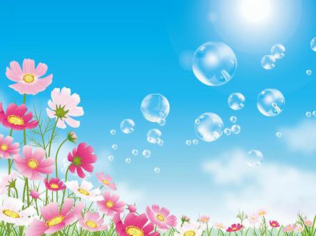 Soap bubble floating in cosmos field blue sky background 01 Soap bubble floating in cosmos field blue sky background 01