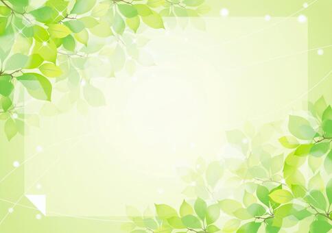 Fresh green frame Fresh green frame