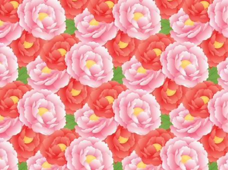 Peony pattern _ red peach Peony pattern _ red peach