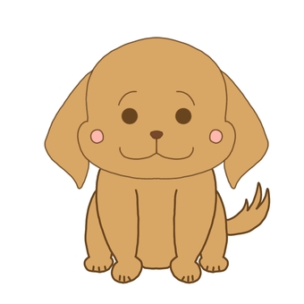 Golden retriever Golden retriever