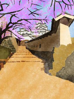 Himeji Castle wall Himeji Castle wall