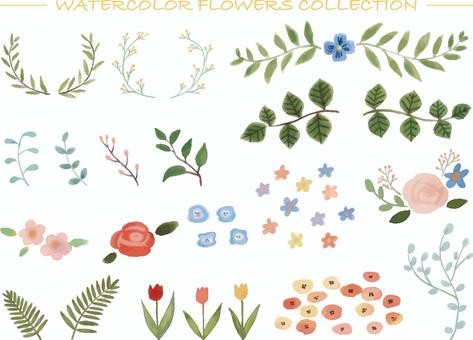 WATERCOLOR FLOWERS WATERCOLOR FLOWERS