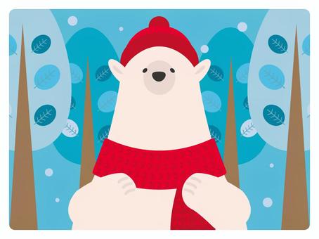 Polar bear in winter Polar bear in winter
