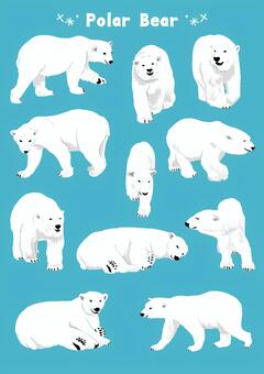 Polar bear illustration Polar bear illustration