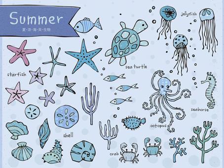 Summer / marine life material / handwritten illustration set Summer / marine life material / handwritten illustration set