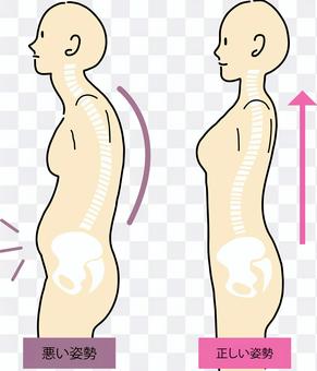 Image and skeleton of correct and bad posture Image and skeleton of correct and bad posture