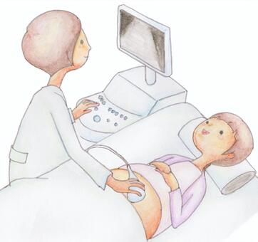 Pregnancy screening (echo) Pregnancy screening (echo)
