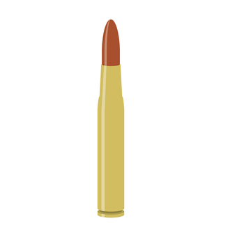 Ammunition Ammunition