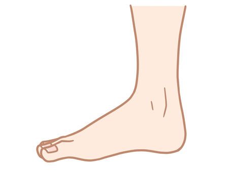 Foot (side) Foot (side)