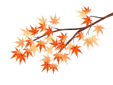 Autumn leaves branch Autumn leaves branch