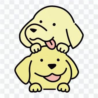 Two golden retrievers Two golden retrievers