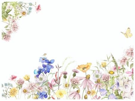 Letter Background - Full of Hato, Spring Field Letter Background - Full of Hato, Spring Field