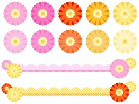 Fancy one point Gerbera Fancy one point Gerbera