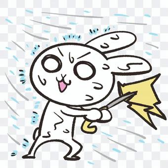 Rabbit in a storm Rabbit in a storm